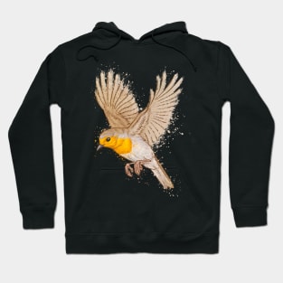 Flying Robin Hoodie